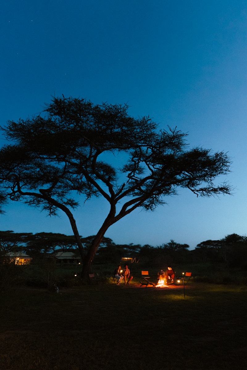 People gather around a campfire under a starry night.